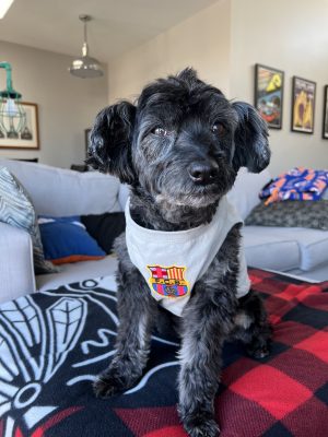 We’re moving to Spain!