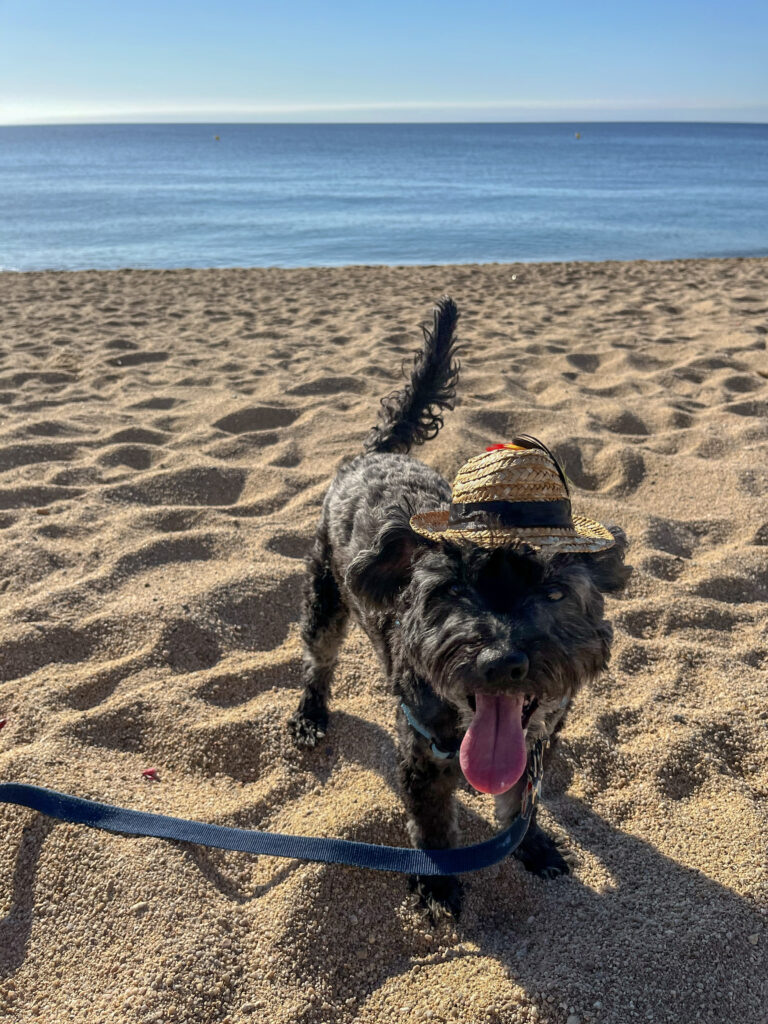 Koval at the Beach, A Weekend in Platja d’Aro