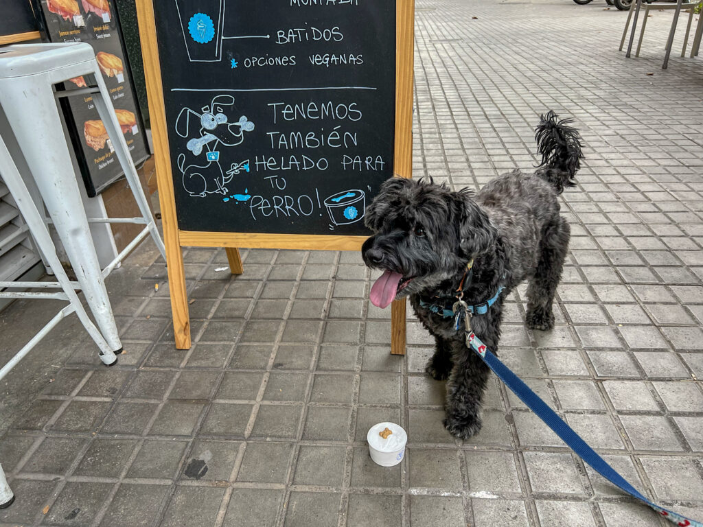 Doggie Ice Cream for Koval's Birthday