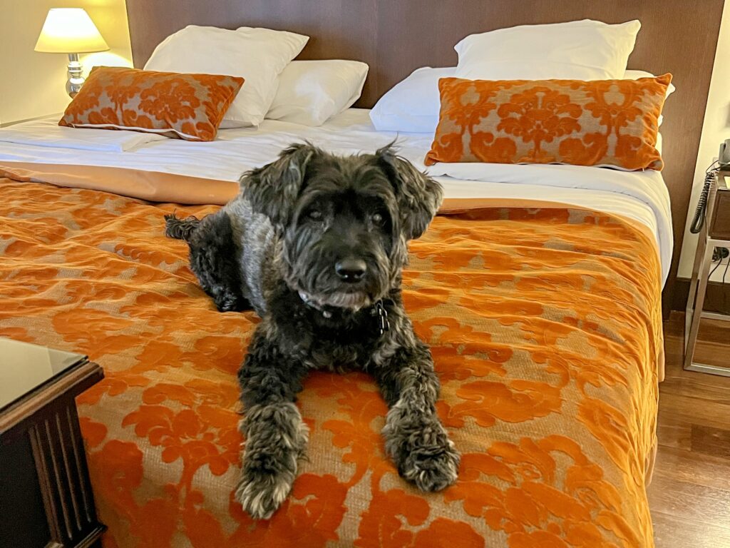 Koval on his 2nd Hotel Stay