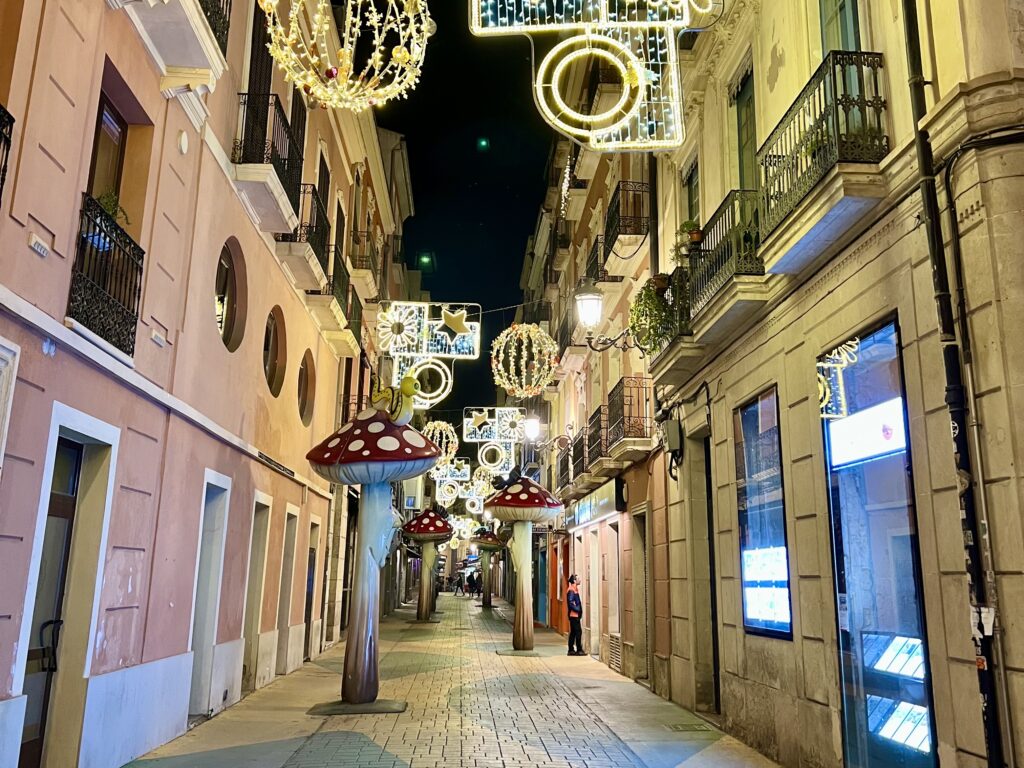 El Carrer dels Bolets