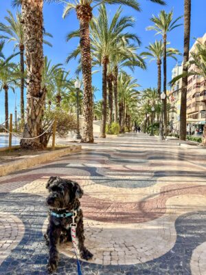Roadtrip to Alicante, Spain