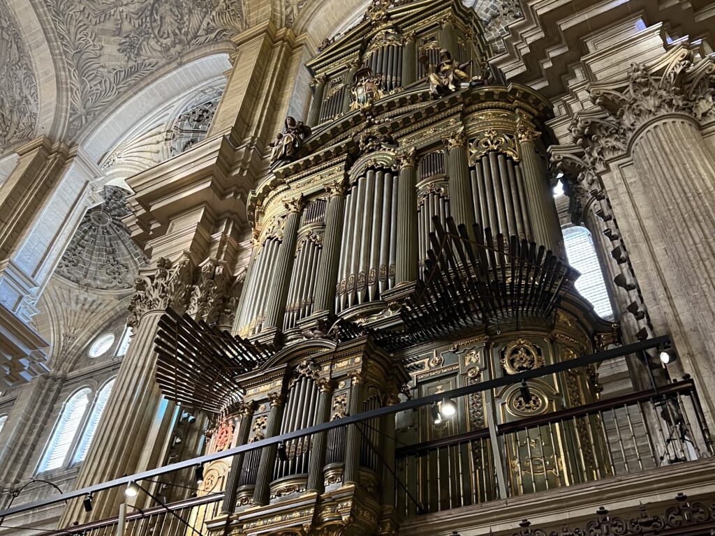 One View of the Organ Inside the Cathedral