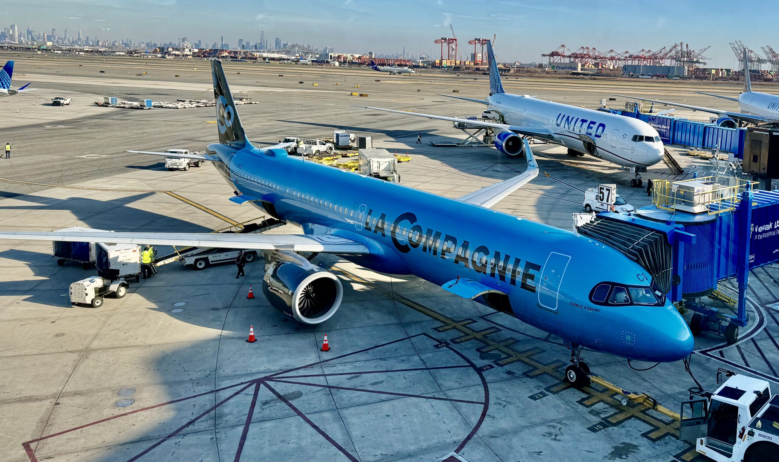 flying-la-compagnie-airline-travels-of-nik-julie-koval-the-dog
