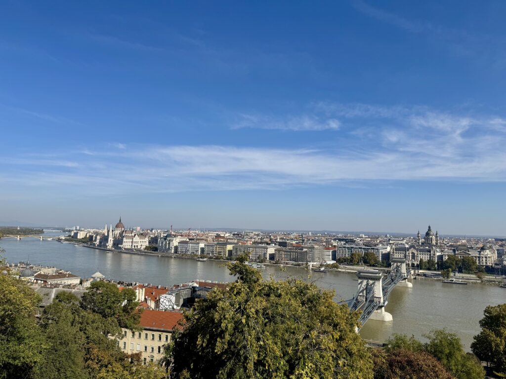 View from Castle Hill