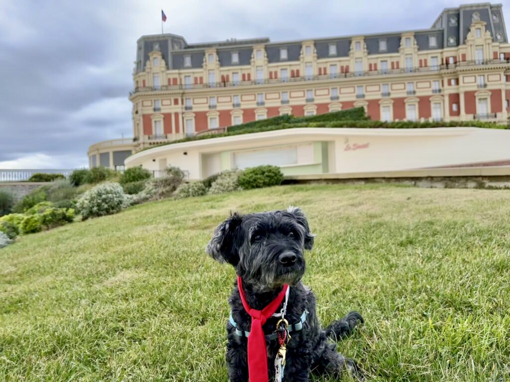 Koval at Hôtel du Palais Biarritz