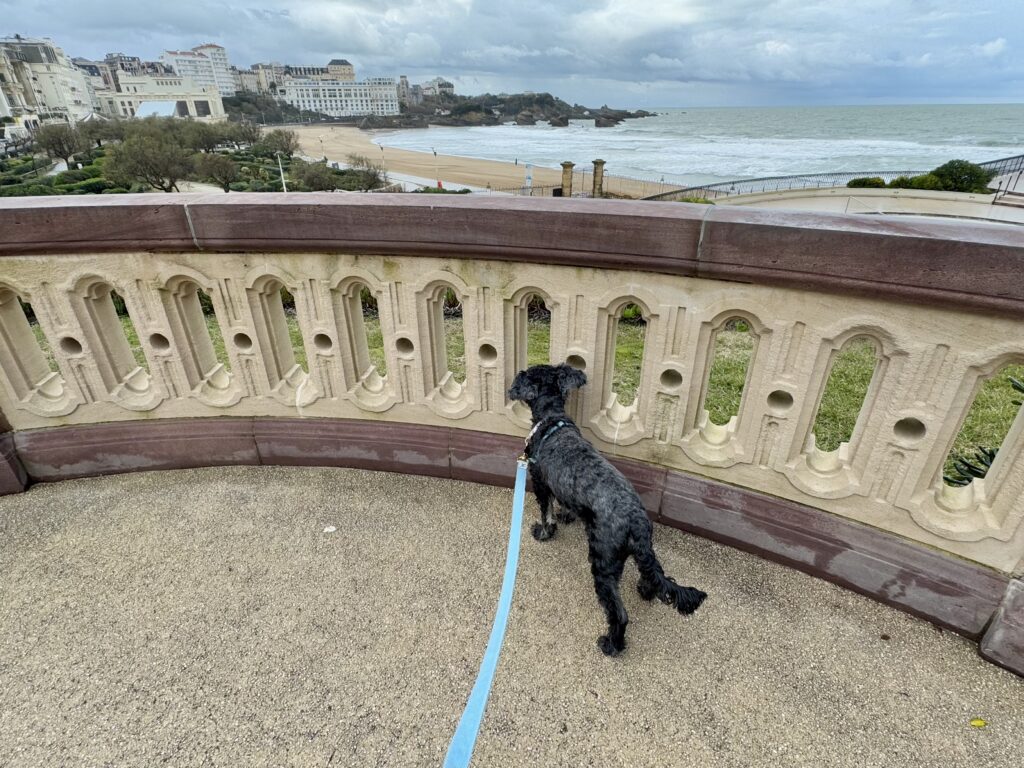 Coastal View from Hôtel du Palais Biarritz