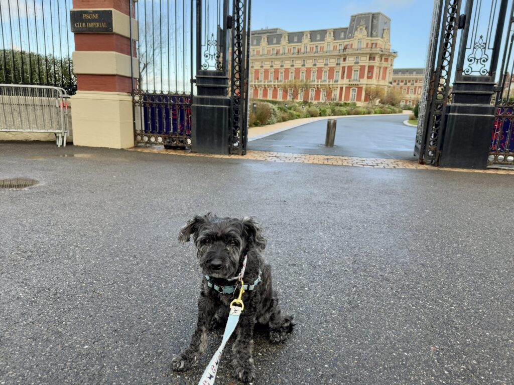 Koval at the Entry Gate to Hôtel du Palais Biarritz