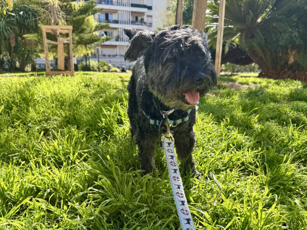 Koval at his Local Park in Nice