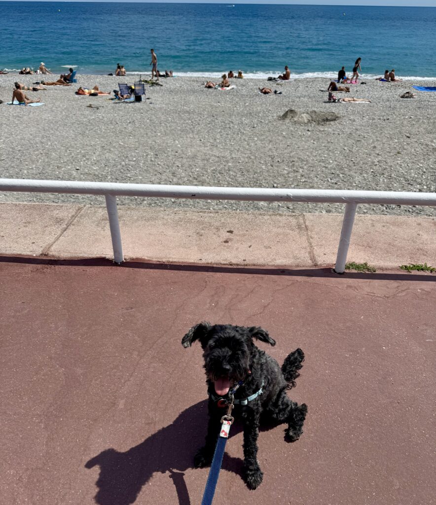 Koval, The Beach and The Prom