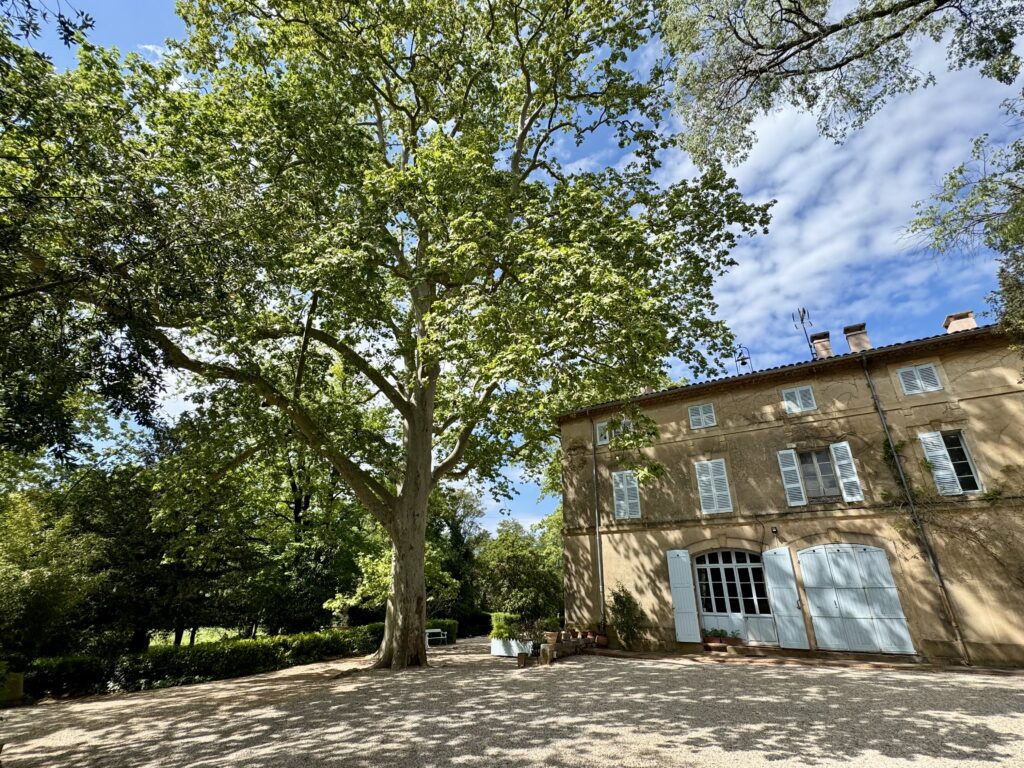 Château de Saint Martin