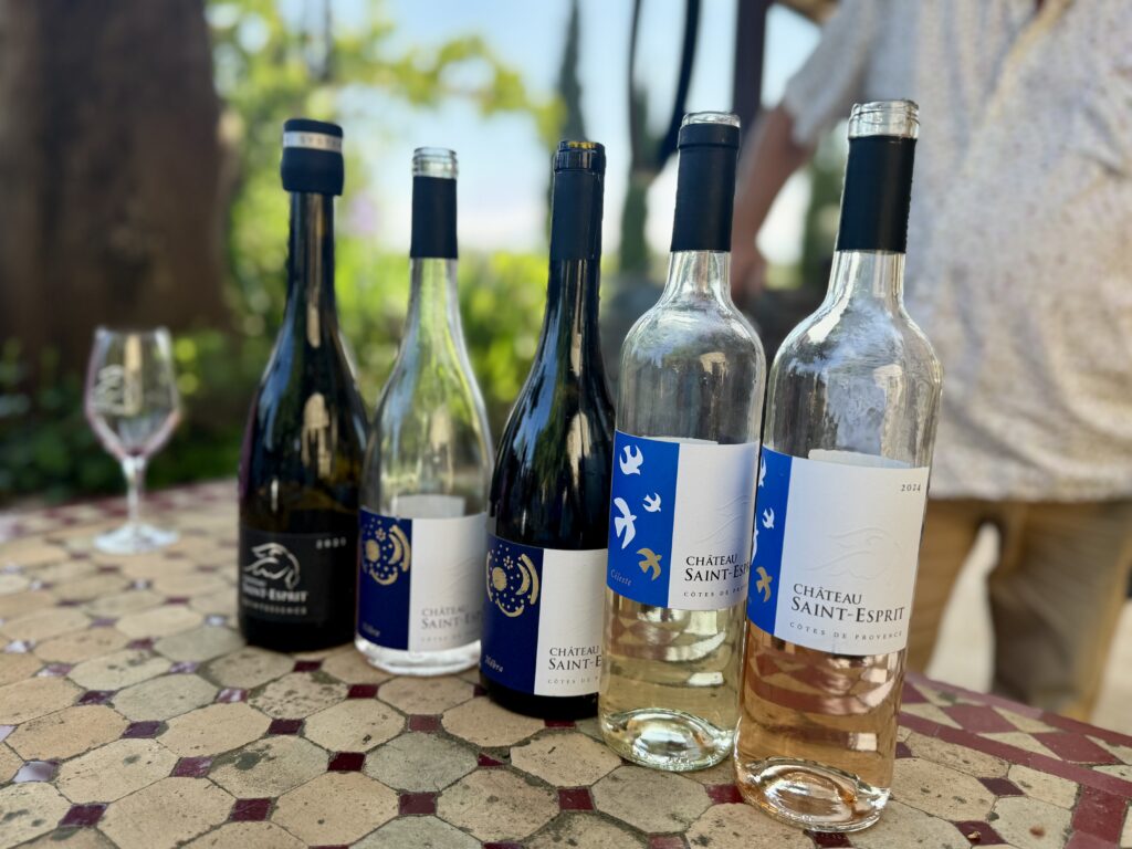 Our Tasting Lineup at Château Saint-Esprit