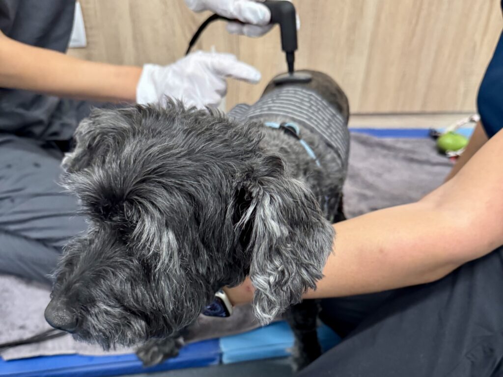 Koval Getting E-Stim Therapy