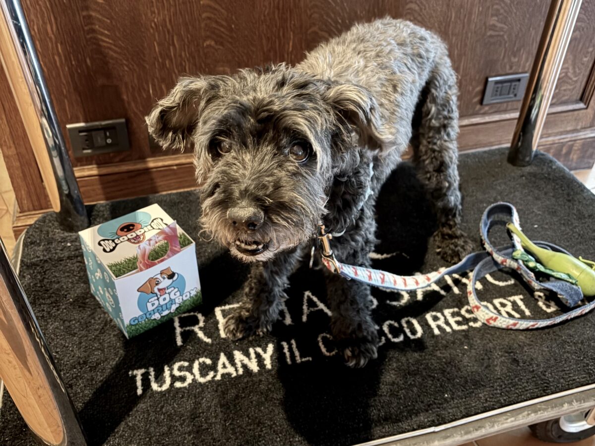 Koval and his Gift on the Luggage Cart
