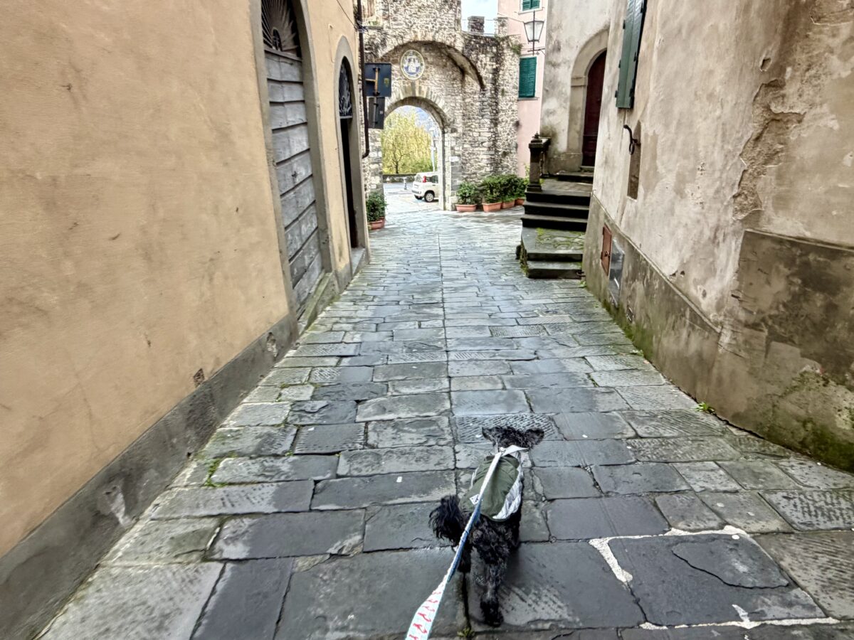 Koval in Old Town Barga