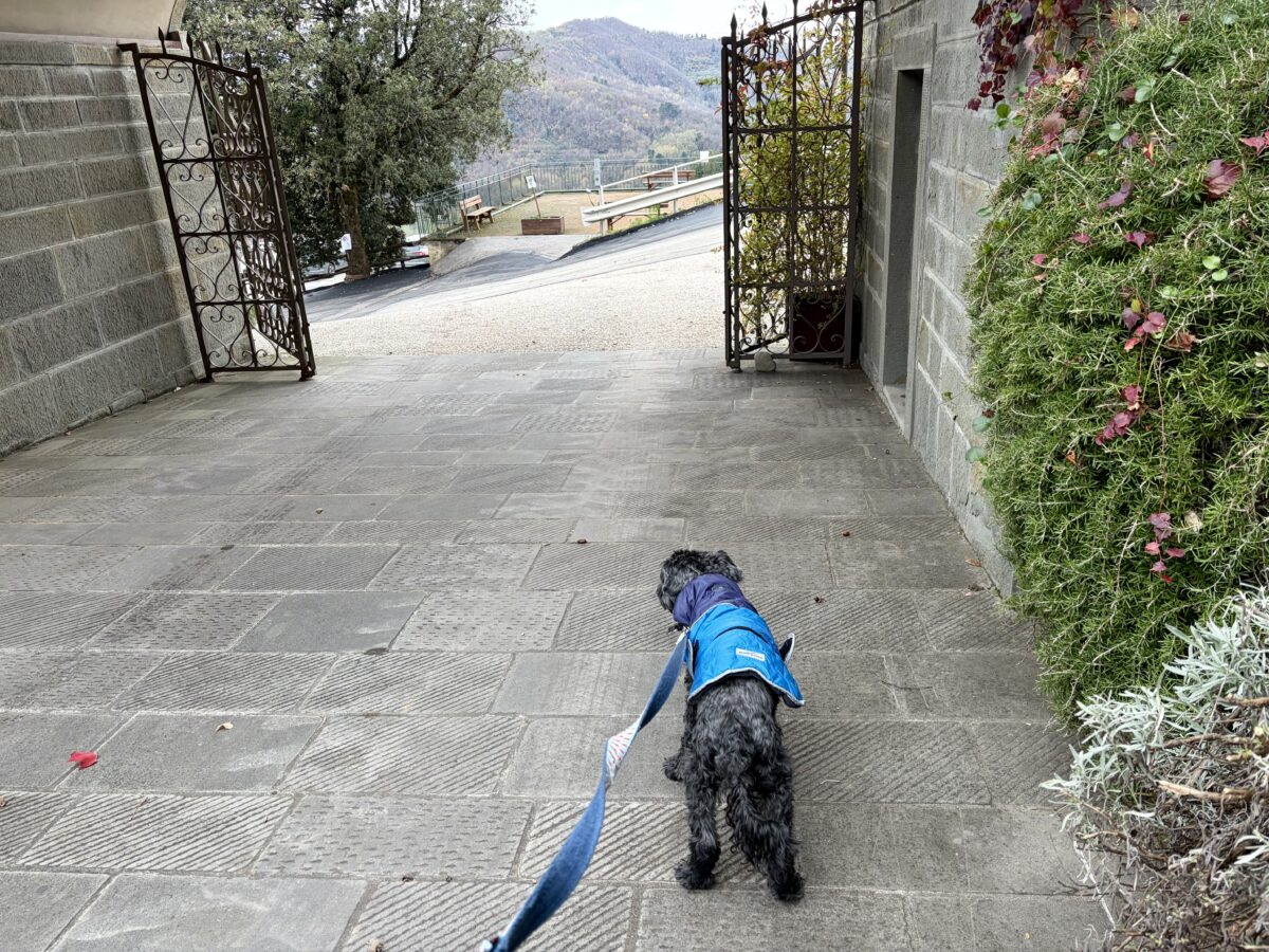 Entrance to Renaissance Tuscany Il Ciocco Resort & Spa