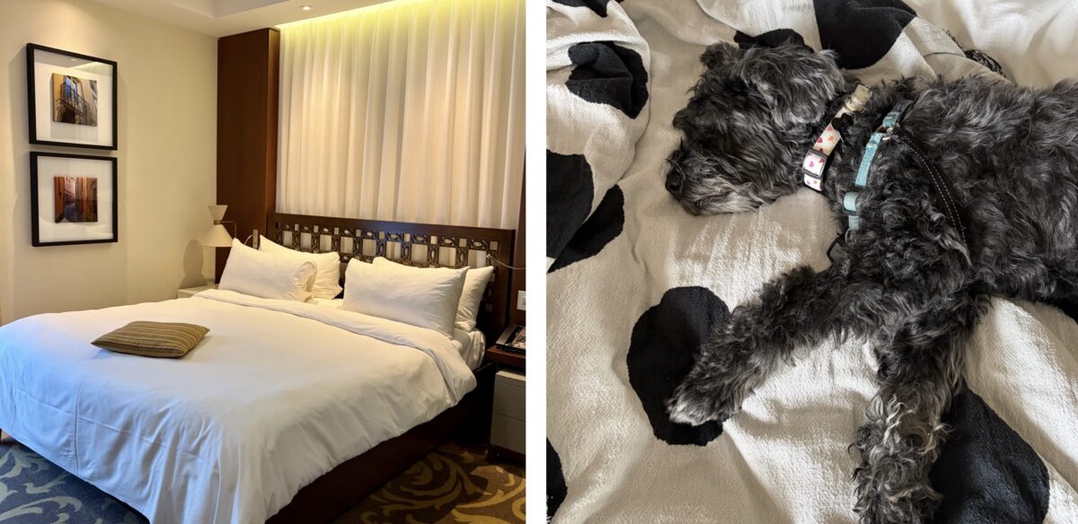 Our Room and Koval in the Lap of Luxury