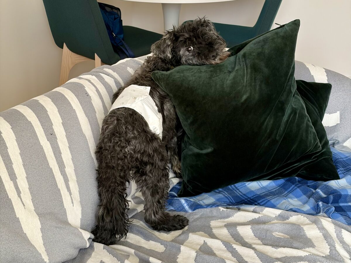 That Face. We Miss It.