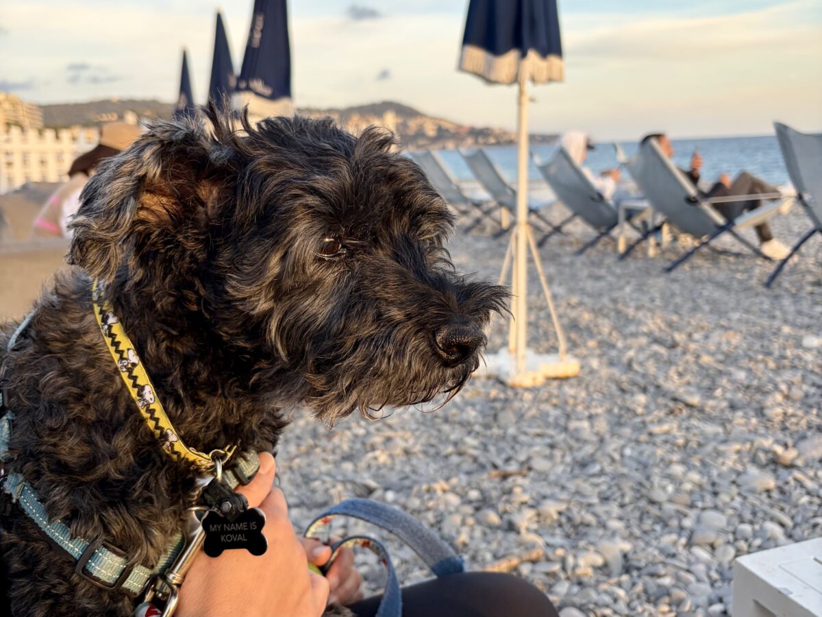 Koval, Nov. 10, 2025 - Nice, France