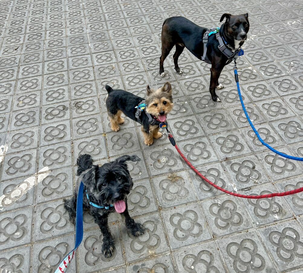 Cosimo, Artu and Koval in Barcelona - April 2023