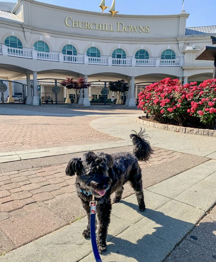 Koval at Churchill Downs, Louisville, KY 2021
