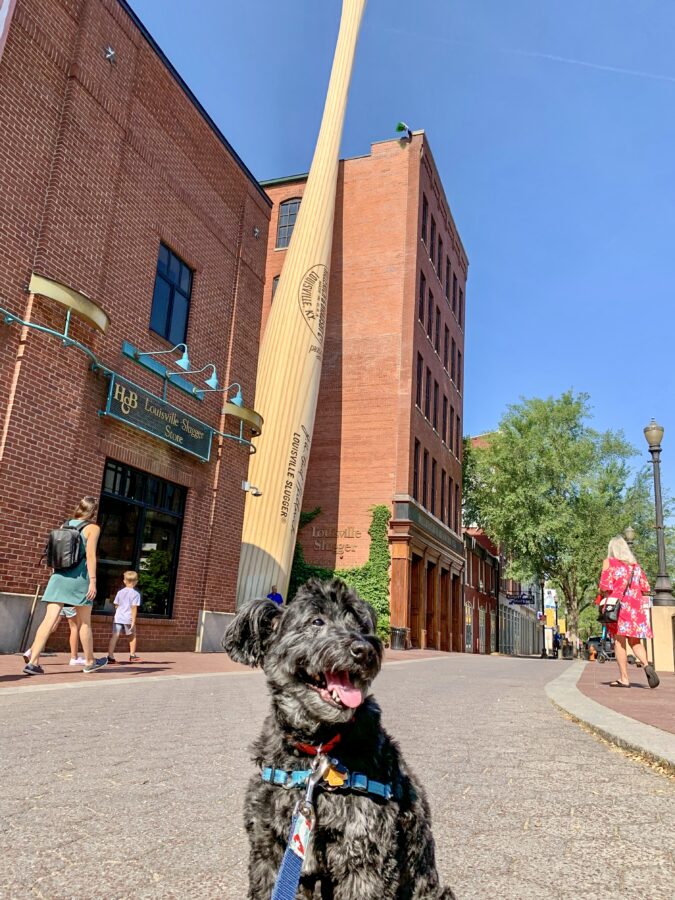 Koval at the Louisville Slugger Museum & Factory, May 2021