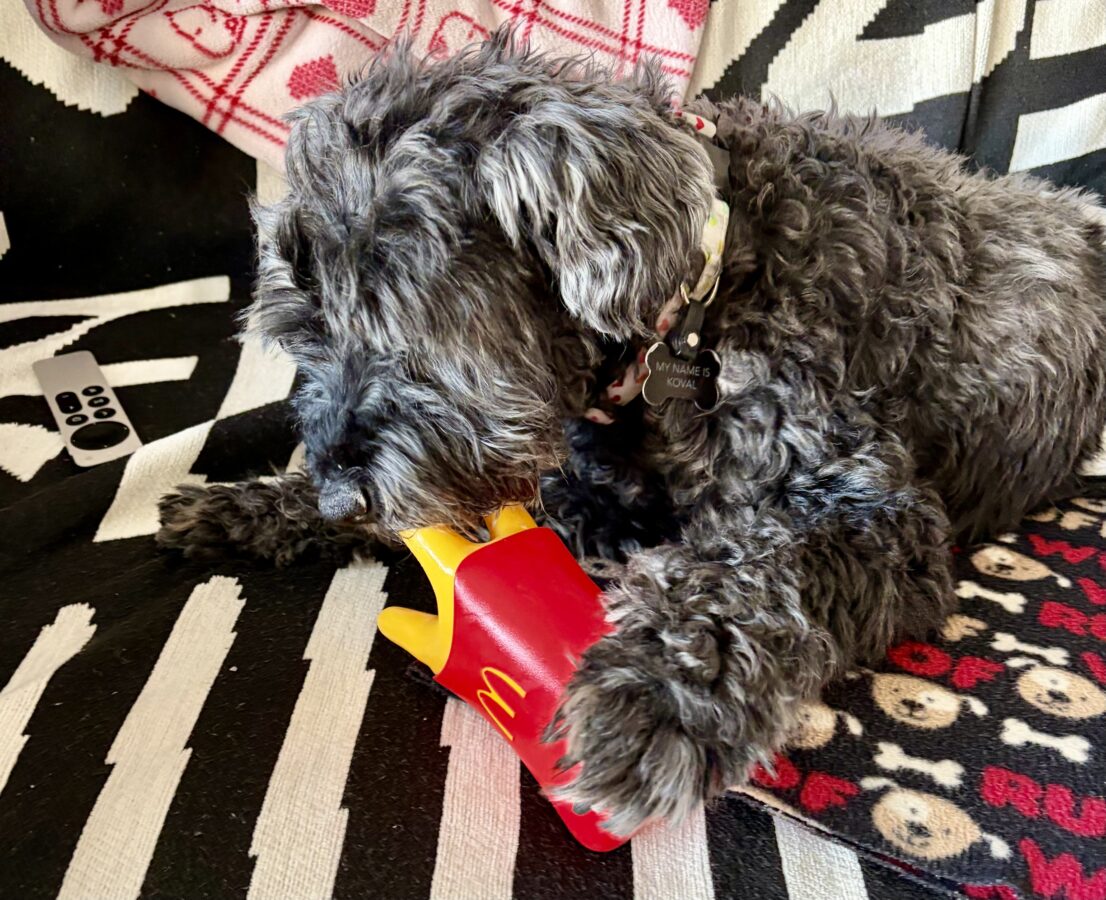 McDonald's Was Always our Road Trip Stop