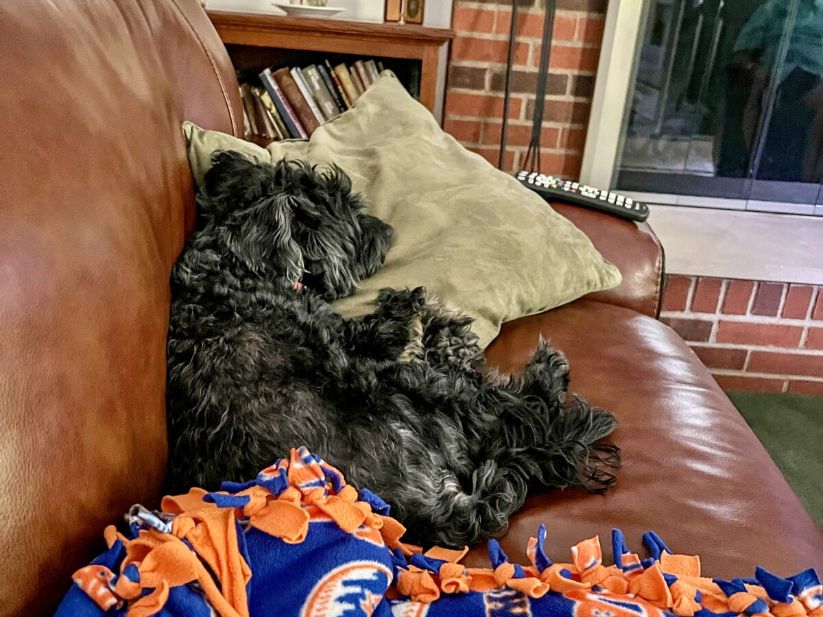 Koval Took Over His Grandparents’ Couch in Columbus