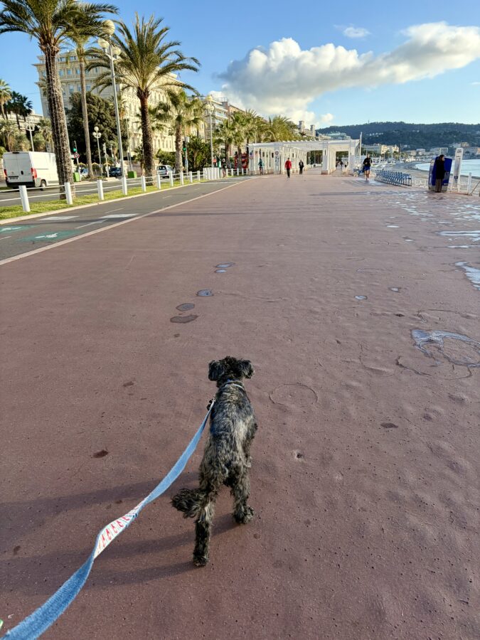 Koval Walking the Promenade des Anglais, Nice