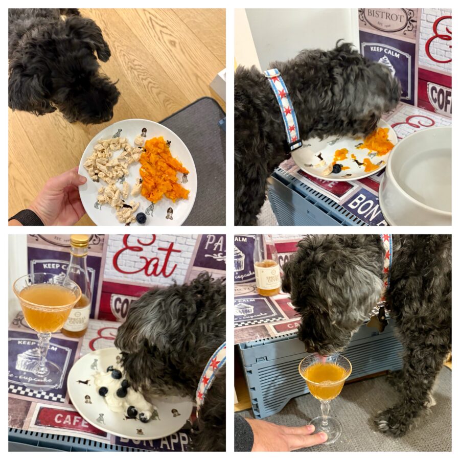 Koval Eating his Favorite Foods