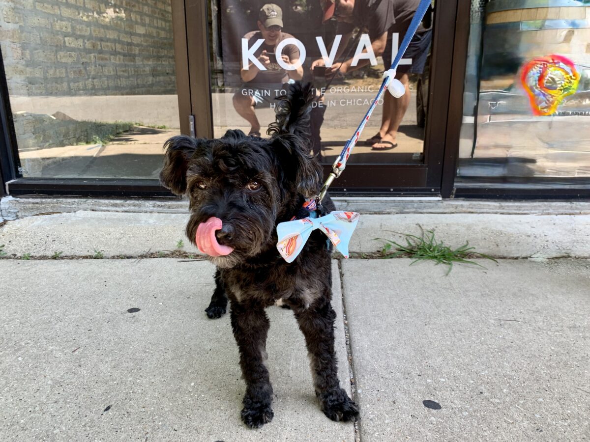Koval at his Namesake Distillery in Chicago