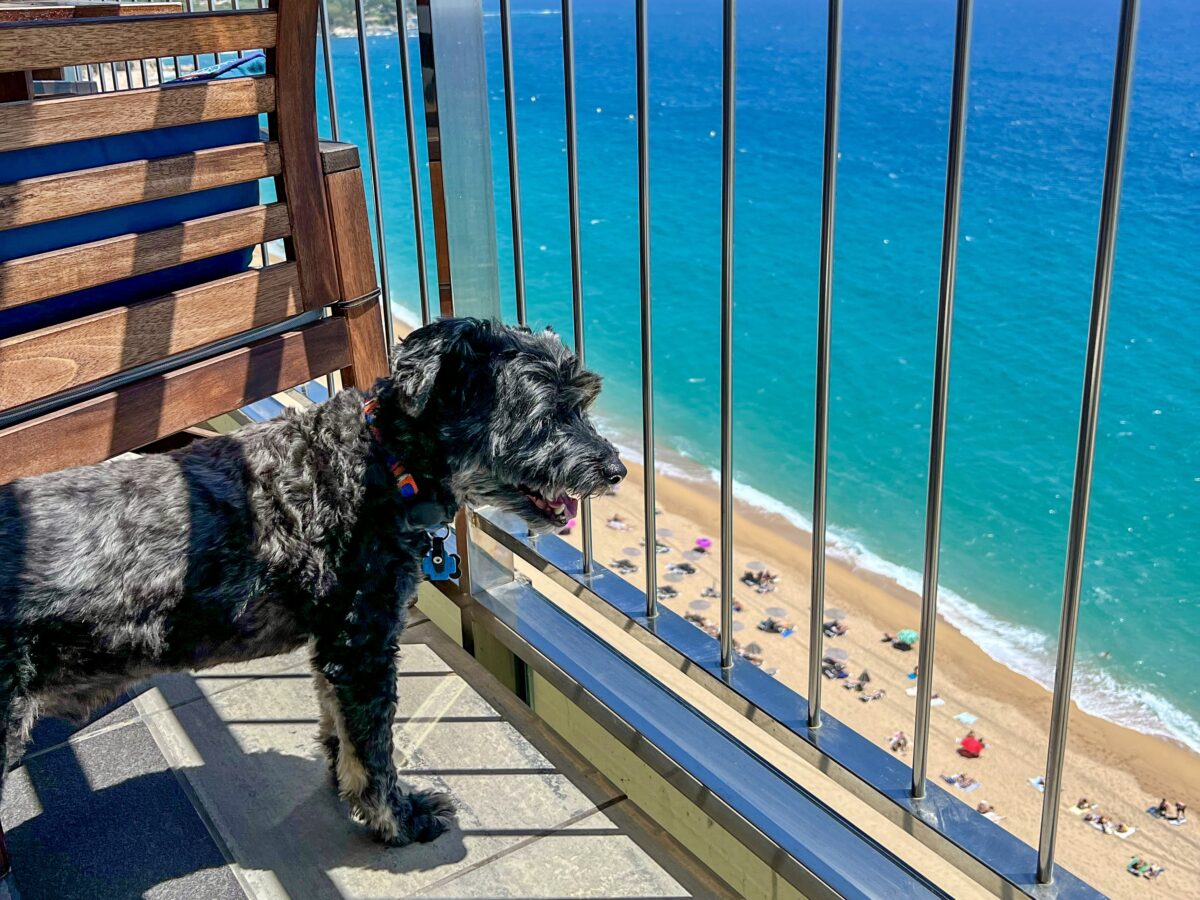 Koval in Platja d'Aro, Spain. Just North of Barcelona - June 2023