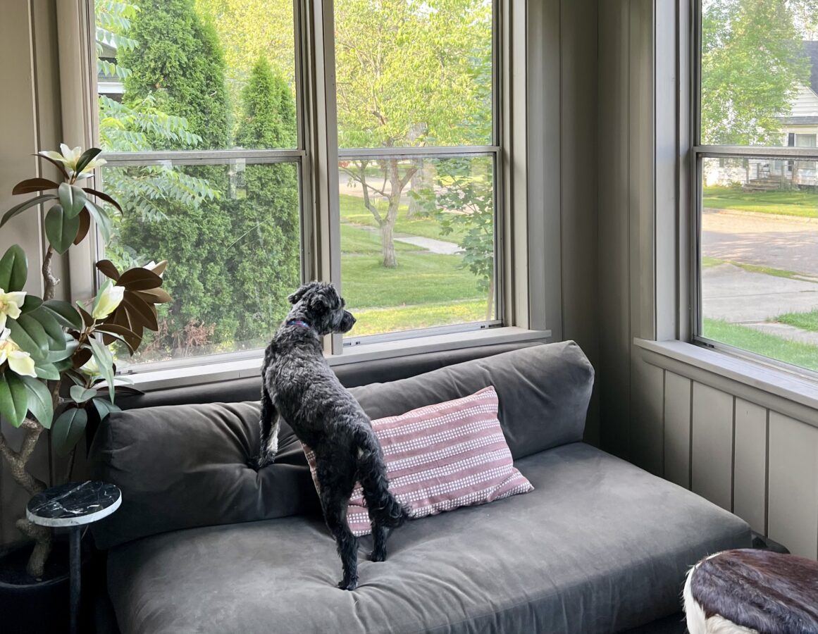 Koval in Three Oaks, Michigan