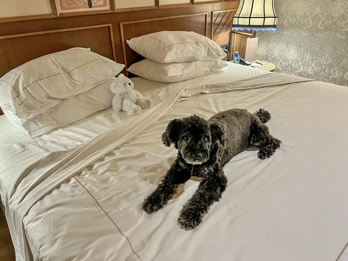 Koval's Hotel Stay in Valenica, Spain