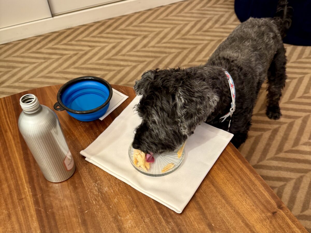 Koval and his Chicken from Costco