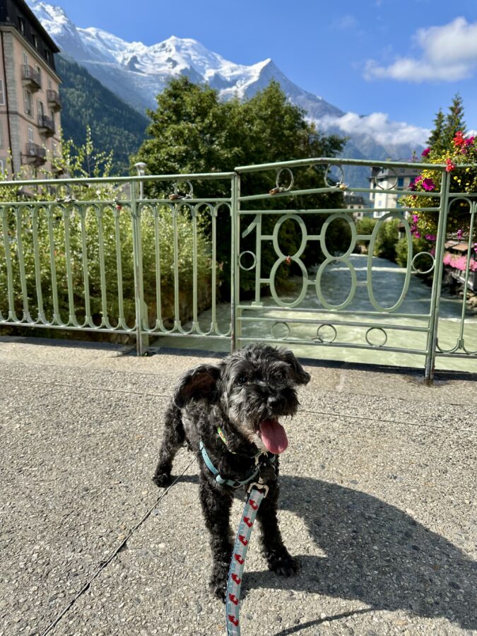 Koval in Chamonix, France - The French Alps