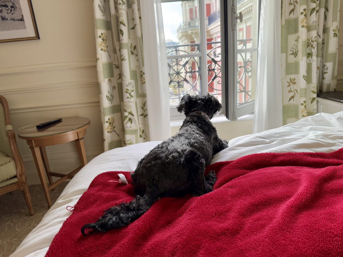 Koval's Hotel Stay in Biarritz, France