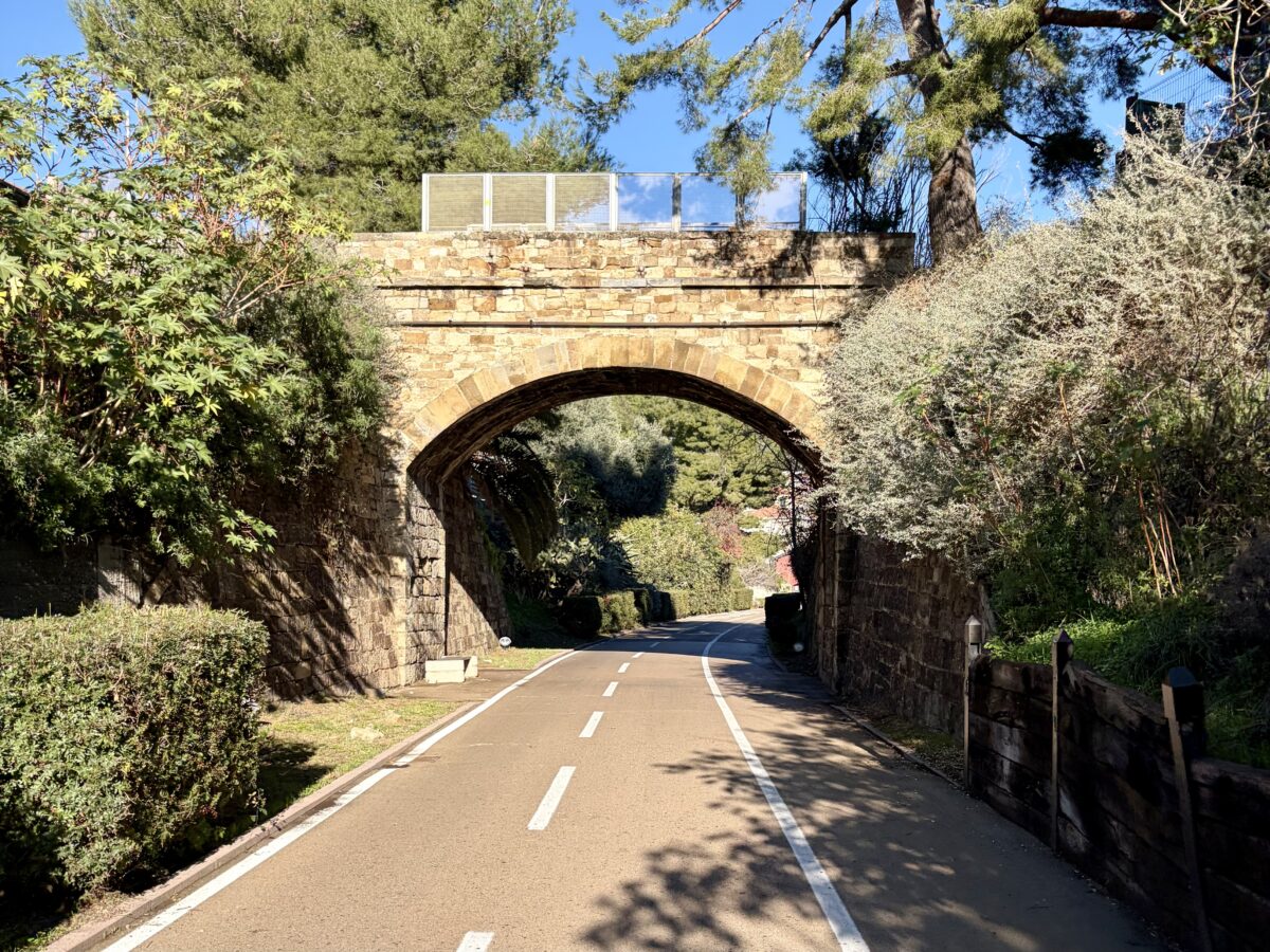 Picture a Train Going Through This